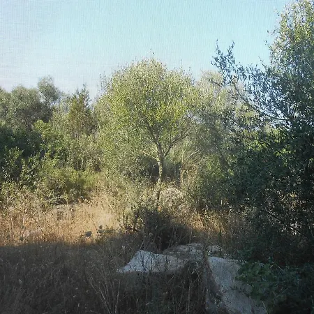 Agriturismo Tupei * كالاسيتا